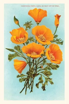 Diario Vintage California Poppies - Vintage Journal California Poppies