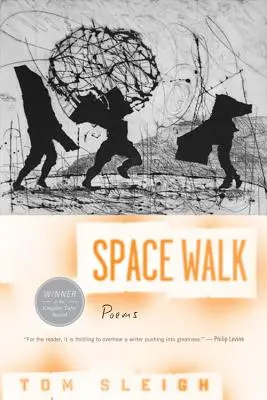 Paseo espacial - Space Walk
