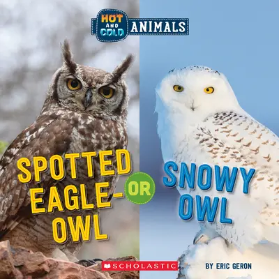 Búho real o búho nival (Animales fríos y calientes) - Spotted Eagle-Owl or Snowy Owl (Hot and Cold Animals)