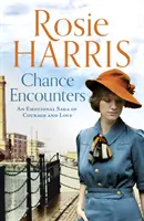 Chance Encounters - Una emotiva saga de coraje y amor - Chance Encounters - An emotional saga of courage and love