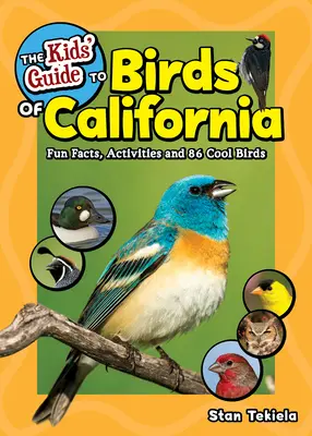 Guía infantil de las aves de California: Datos curiosos, actividades y 86 aves geniales - The Kids' Guide to Birds of California: Fun Facts, Activities and 86 Cool Birds