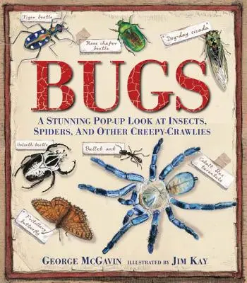 Bichos: Una asombrosa mirada desplegable a los insectos, arañas y otros bichos espeluznantes - Bugs: A Stunning Pop-Up Look at Insects, Spiders, and Other Creepy-Crawlies