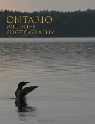 Fotografía de la fauna de Ontario - Ontario Wildlife Photography