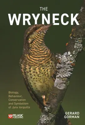 El torcecuello - The Wryneck