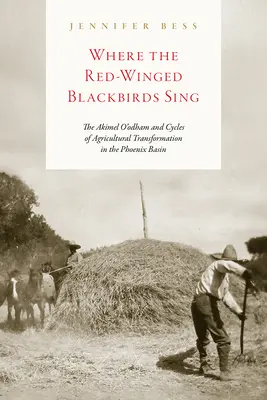 Where the Red-Winged Blackbirds Sing: The Akimel O'Odham and Cycles of Agricultural Transformation in the Phoenix Basin (Donde cantan los mirlos de alas rojas: los Akimel O'Odham y los ciclos de transformación agrícola en la cuenca del Phoenix) - Where the Red-Winged Blackbirds Sing: The Akimel O'Odham and Cycles of Agricultural Transformation in the Phoenix Basin