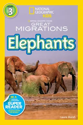 Elefantes - Elephants