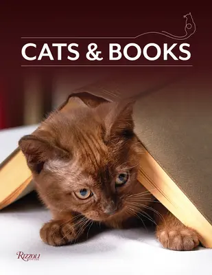 Gatos y Libros - Cats & Books