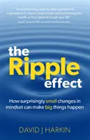 Efecto dominó - Cómo cambios sorprendentemente pequeños en la mentalidad pueden hacer que sucedan grandes cosas - Ripple Effect - How surprisingly small changes in mindset can make big things happen