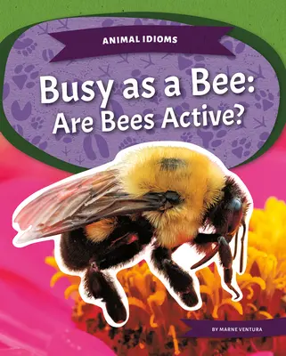 Ocupado como una abeja: ¿Son activas las abejas? - Busy as a Bee: Are Bees Active?