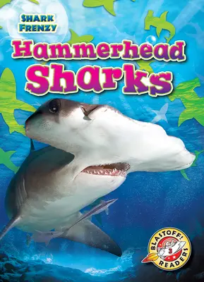 Tiburón martillo - Hammerhead Sharks