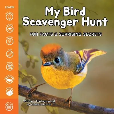 Mi caza del tesoro de aves - My Bird Scavenger Hunt