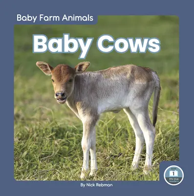 Vacas de cría - Baby Cows