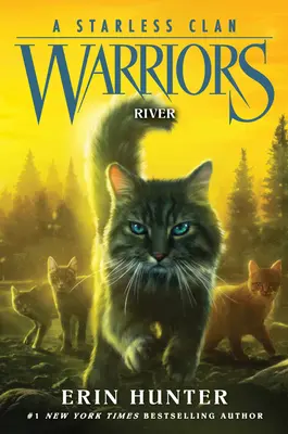 Warriors A Starless Clan #1: Río - Warriors: A Starless Clan #1: River