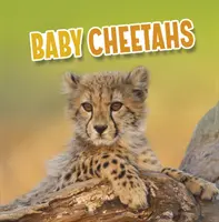 Guepardos bebé - Baby Cheetahs