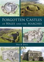 Castillos olvidados de Gales y las Marcas - Forgotten Castles of Wales and the Marches