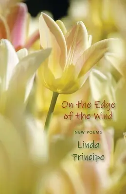 A la orilla del viento - On the Edge of the Wind