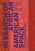 En busca del espacio afroamericano: Redressing Racism - In Search of African American Space: Redressing Racism