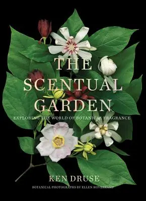 El jardín aromático: Explorando el mundo de las fragancias botánicas - The Scentual Garden: Exploring the World of Botanical Fragrance