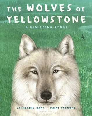 Los lobos de Yellowstone: A Rewilding Story - The Wolves of Yellowstone: A Rewilding Story