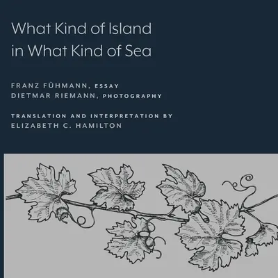 ¿Qué tipo de isla en qué tipo de mar? - What Kind of Island in What Kind of Sea?