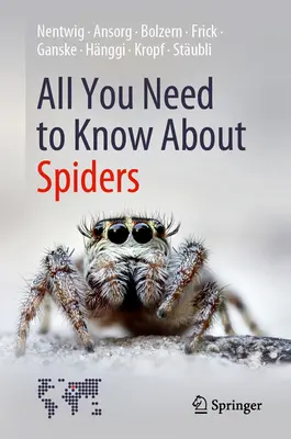 Todo lo que debe saber sobre las arañas - All You Need to Know about Spiders