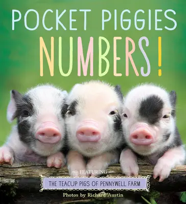 Cerditos de Bolsillo: ¡Números! Los cerditos de la granja Pennywell - Pocket Piggies Numbers!: Featuring the Teacup Pigs of Pennywell Farm