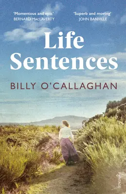 Cadena perpetua: el inolvidable bestseller irlandés - Life Sentences - the unforgettable Irish bestseller