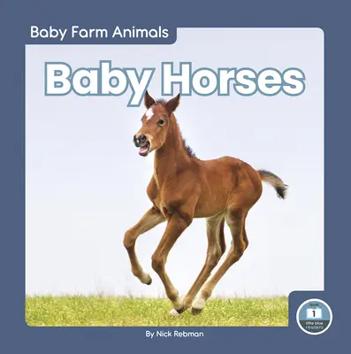 Caballitos - Baby Horses