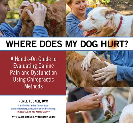 Dónde le duele a mi perro: Encuentre el origen de los problemas de comportamiento o del dolor: Guía práctica - Where Does My Dog Hurt: Find the Source of Behavioral Issues or Pain: A Hands-On Guide