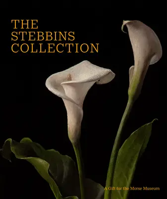 La colección Stebbins: Un regalo para el Museo Morse - The Stebbins Collection: A Gift for the Morse Museum