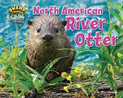 Nutria de río norteamericana - North American River Otter