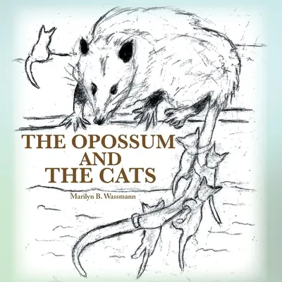 La zarigüeya y los gatos - The Opossum and the Cats