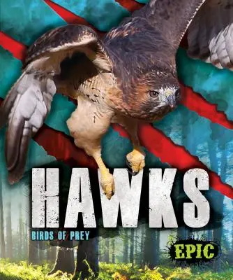 Halcones: aves rapaces - Hawks: Birds of Prey