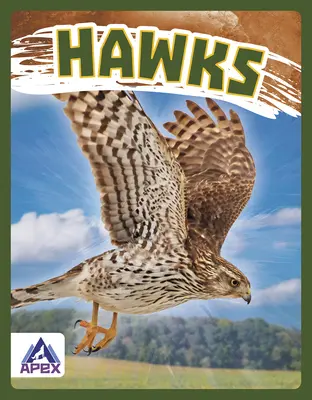 Halcones - Hawks