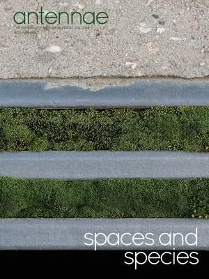 Antennae #56 Espacios y especies - Antennae #56 Spaces and Species