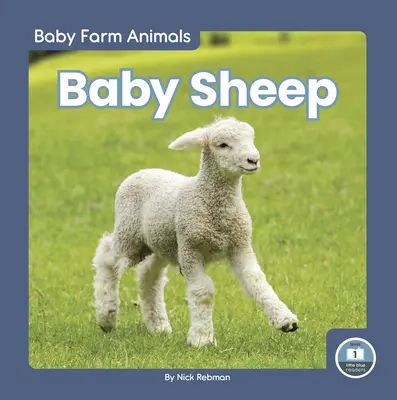 Bebé Oveja - Baby Sheep