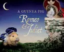Guinea Pig Romeo y Julieta - Guinea Pig Romeo & Juliet