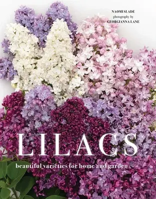 Lilas: Hermosas variedades para el hogar y el jardín - Lilacs: Beautiful Varieties for Home and Garden