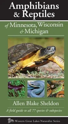 Anfibios y reptiles de Minnesota, Wisconsin y Michigan: Guía de campo de las 77 especies y subespecies - Amphibians & Reptiles of Minnesota, Wisconsin & Michigan: A Field Guide to All 77 Species & Subspecies