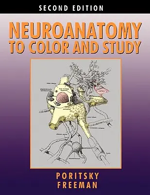 Neuroanatomía para colorear y estudiar - Neuroanatomy to Color and Study