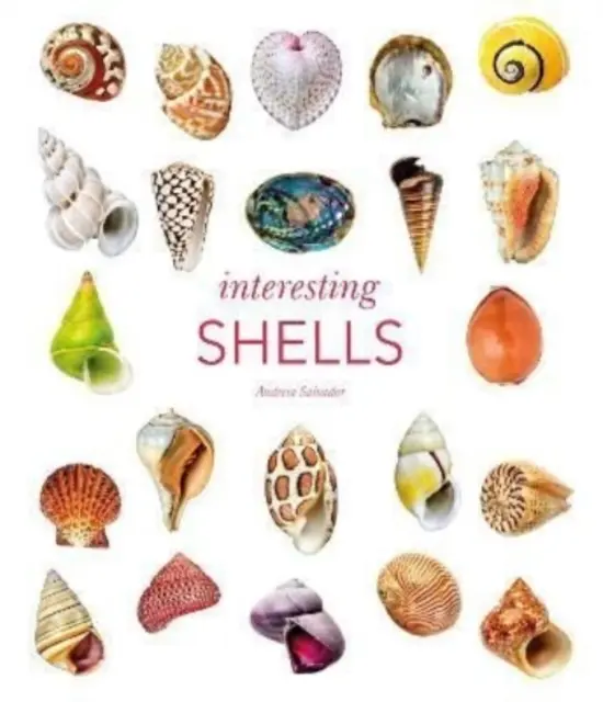 Conchas Interesantes - Interesting Shells