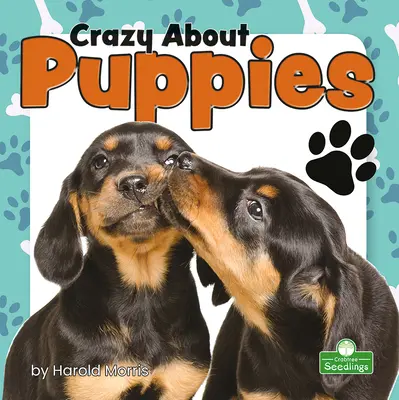 Locos por los cachorros - Crazy about Puppies