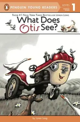 ¿Qué ve Otis? - What Does Otis See?