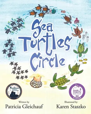 Círculo de tortugas marinas - Sea Turtles Circle