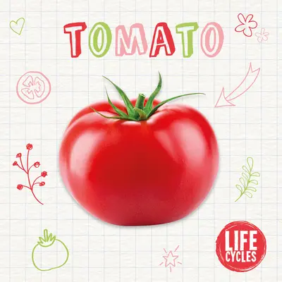 Tomate - Tomato