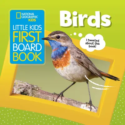 Primer libro de cartón para niños: Pájaros - Little Kids First Board Book: Birds