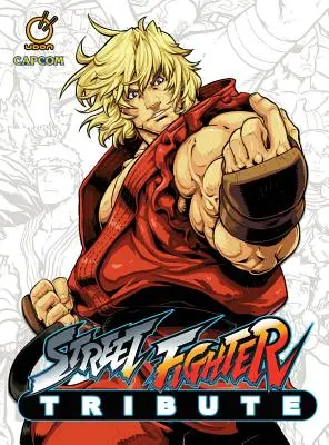 Homenaje a Street Fighter - Street Fighter Tribute