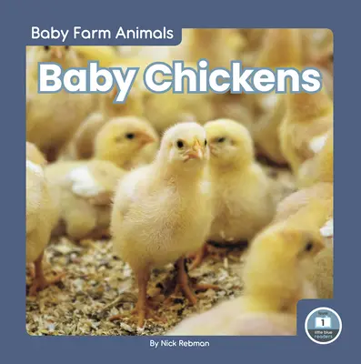 Pollitos - Baby Chickens