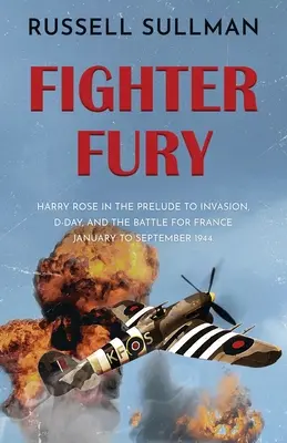 La furia de los cazas - Fighter Fury