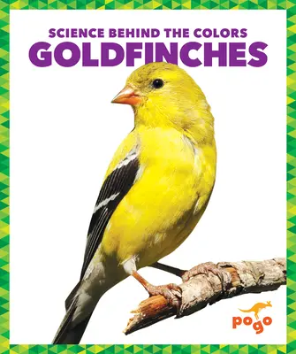 Jilgueros - Goldfinches